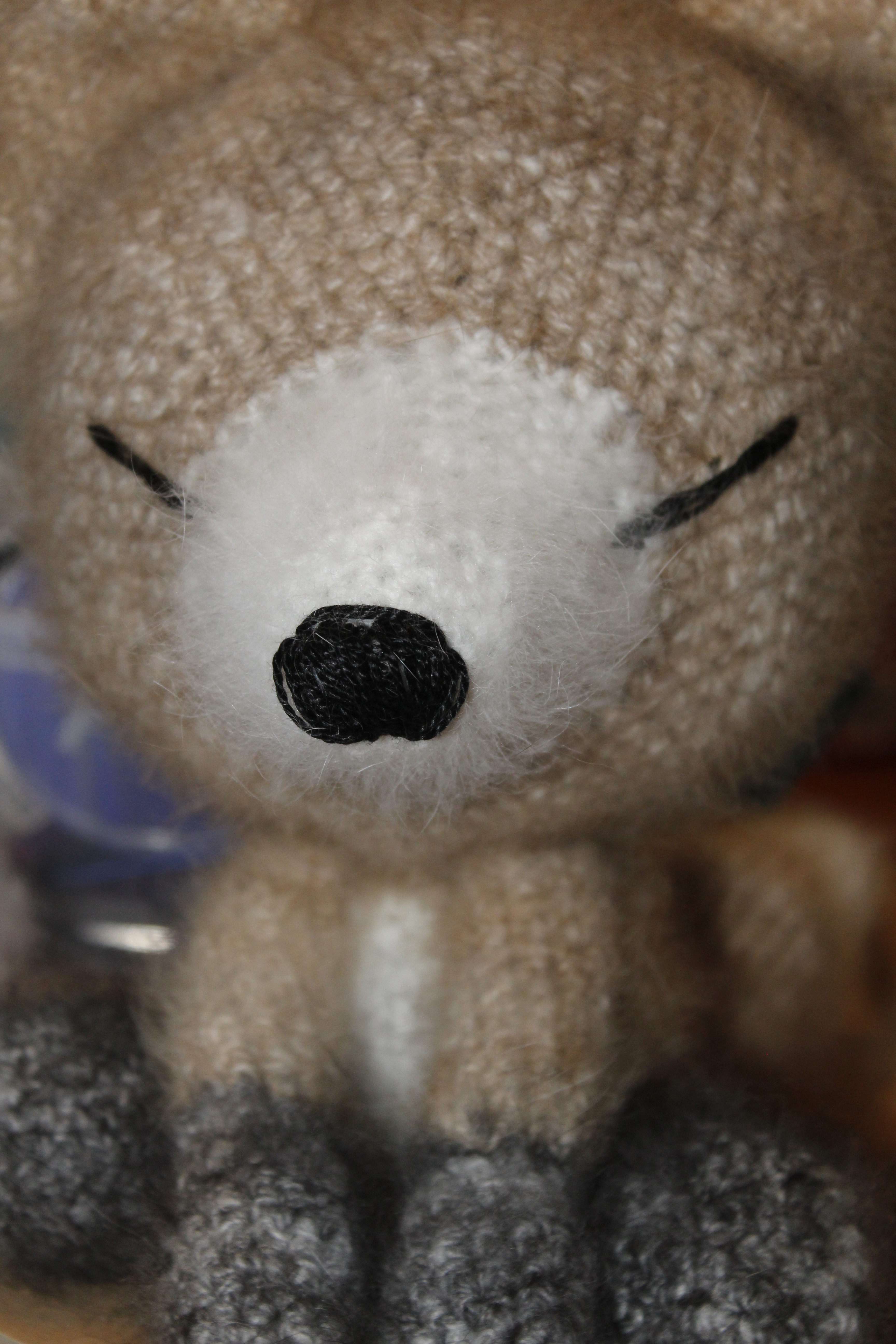 Angora Projects – Samollynn Angora Rabbits
